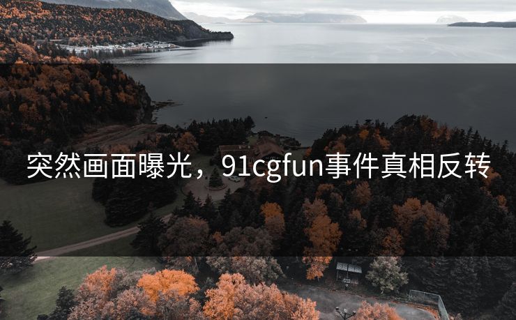 突然画面曝光，91cgfun事件真相反转