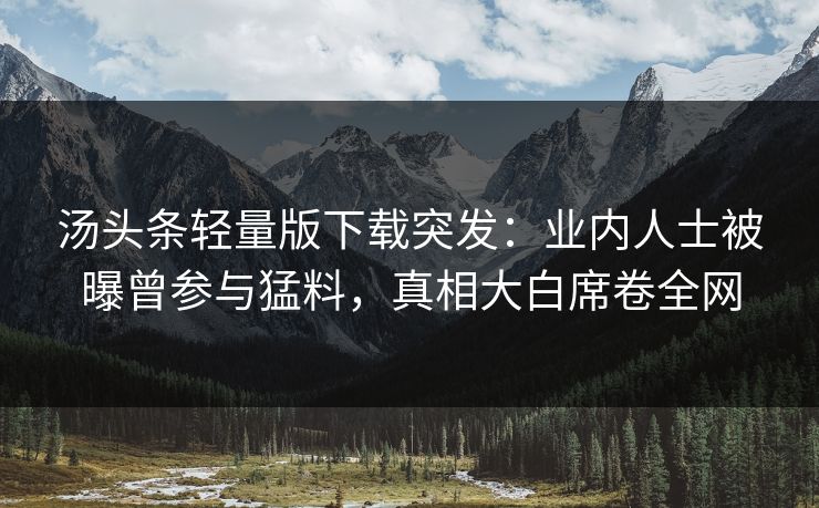 汤头条轻量版下载突发：业内人士被曝曾参与猛料，真相大白席卷全网