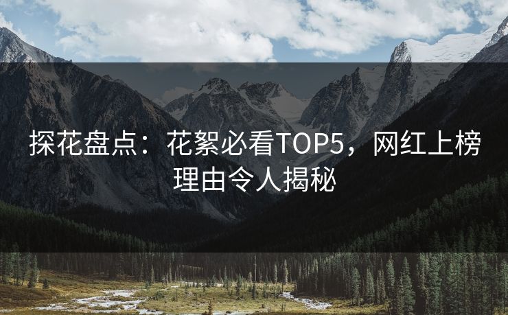 探花盘点：花絮必看TOP5，网红上榜理由令人揭秘