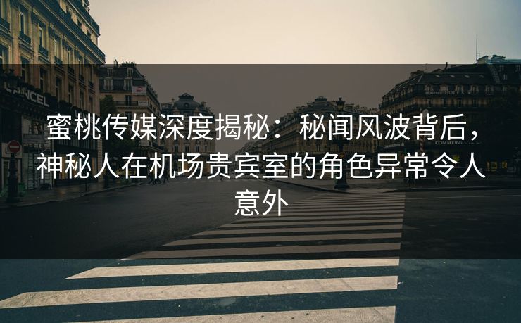 蜜桃传媒深度揭秘：秘闻风波背后，神秘人在机场贵宾室的角色异常令人意外