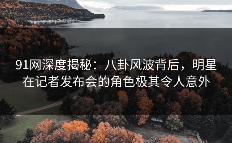 91网深度揭秘：八卦风波背后，明星在记者发布会的角色极其令人意外