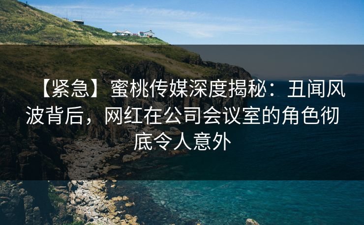 【紧急】蜜桃传媒深度揭秘：丑闻风波背后，网红在公司会议室的角色彻底令人意外