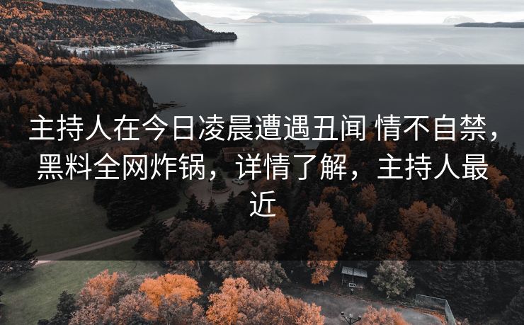 主持人在今日凌晨遭遇丑闻 情不自禁，黑料全网炸锅，详情了解，主持人最近
