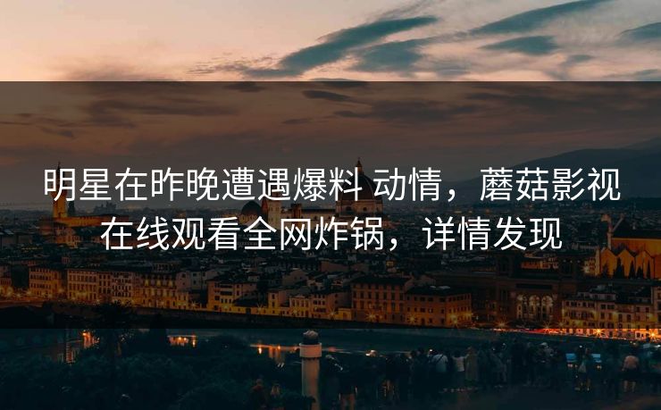 明星在昨晚遭遇爆料 动情，蘑菇影视在线观看全网炸锅，详情发现