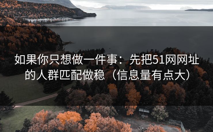 如果你只想做一件事：先把51网网址的人群匹配做稳（信息量有点大）